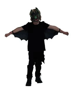 How To Train Your Dragon Toothless Accessory Set