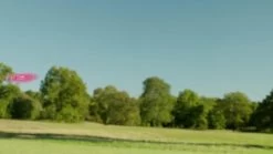 Phlat Ball Phlat Ball -Fun Puzzle For Children Shop PXTHM SQ8 0000000099 N A DVvL