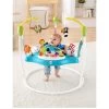 Fisher Price Fisher-Price Colour Climbers Jumperoo Baby Bouncer