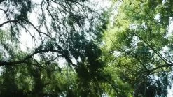 Ravensburger Jurassic Park Danger! - Adventure Strategy Game 17 Ravensburger Jurassic Park Danger! - Adventure Strategy Game -Fun Puzzle For Children Shop T3WUG SQ8 0000000088 NO COLOR DVvL