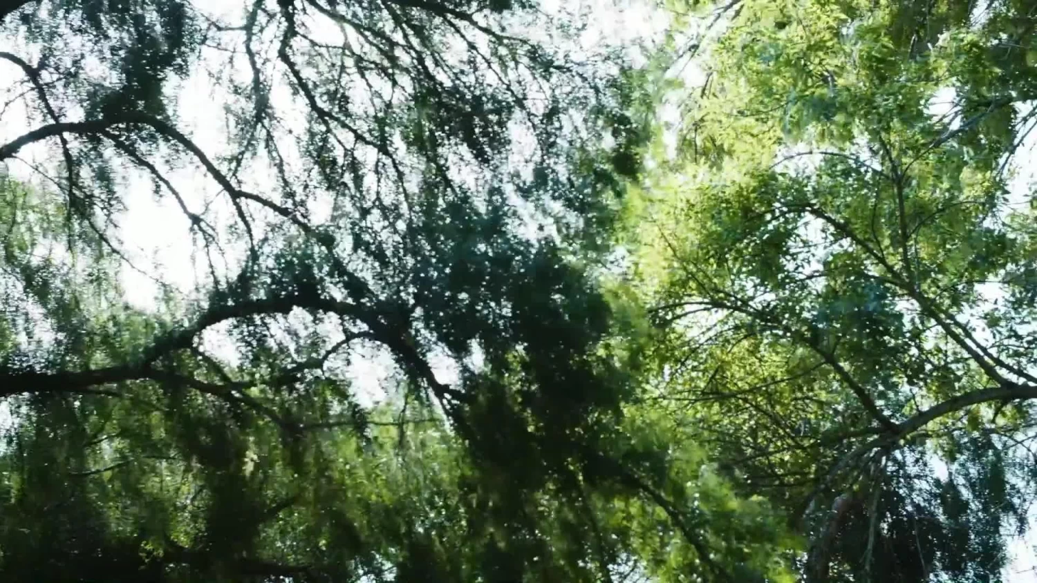 Ravensburger Jurassic Park Danger! - Adventure Strategy Game 10 Ravensburger Jurassic Park Danger! - Adventure Strategy Game - Image 8