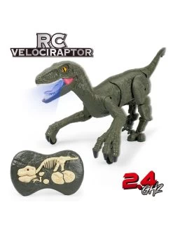 RC Velociraptor -Fun Puzzle For Children Shop UYH2M SQ2 0000000099 N A SLd