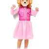 Paw Patrol Skye Costume