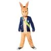 Peter Rabbit TV Costume -Fun Puzzle For Children Shop VF3KE SQ1 0000000099 N A MDf