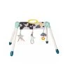 Taf Toys Mini Moon Take To Play Gym