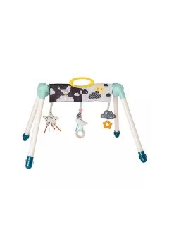 Taf Toys Mini Moon Take To Play Gym
