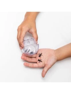 Uncle Milton Ant Eater Bug Vacuum 2.0 14 Uncle Milton Ant Eater Bug Vacuum 2.0 -Fun Puzzle For Children Shop VL4HN SQ5 0000000088 NO COLOR SLd2