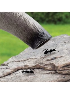 Uncle Milton Ant Eater Bug Vacuum 2.0 15 Uncle Milton Ant Eater Bug Vacuum 2.0 -Fun Puzzle For Children Shop VL4HN SQ6 0000000088 NO COLOR SLd3