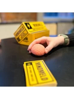 Mind Meld -Fun Puzzle For Children Shop VLDLY SQ6 0000000099 N A SLd3