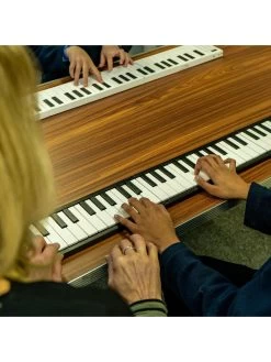 Carry-On 88 Key Folding Piano - Black -Fun Puzzle For Children Shop VLGA9 SQ5 0000000099 N A SLd3