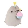 AURORA Birthday Party Pusheen Plush